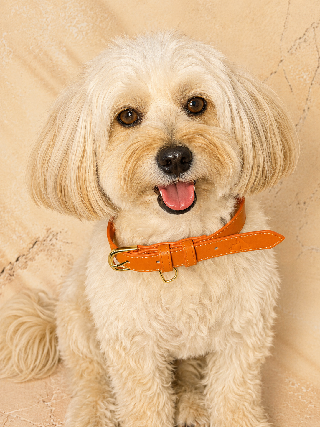 Tangerine Vegan Leather Collar