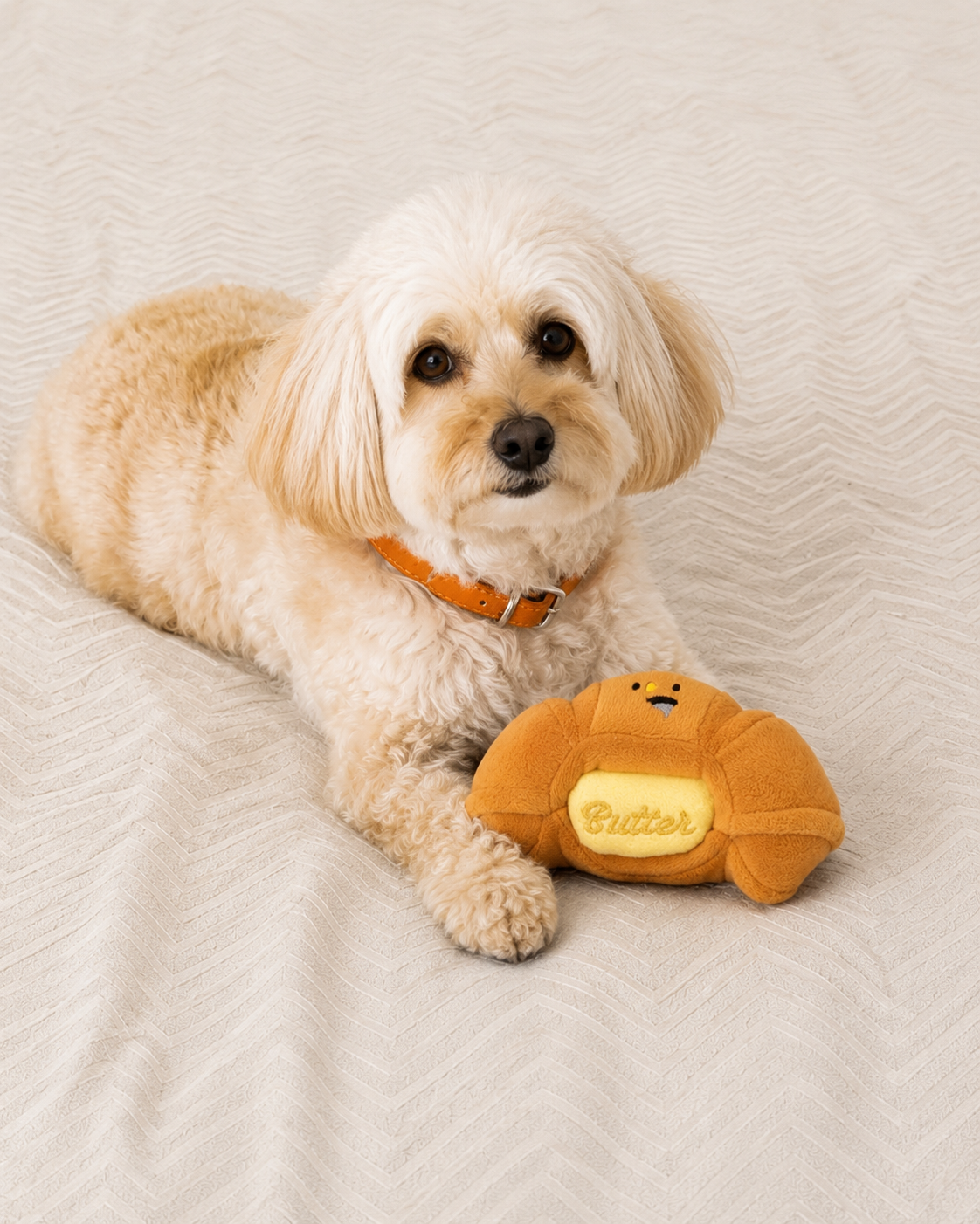 Croissant À Woof