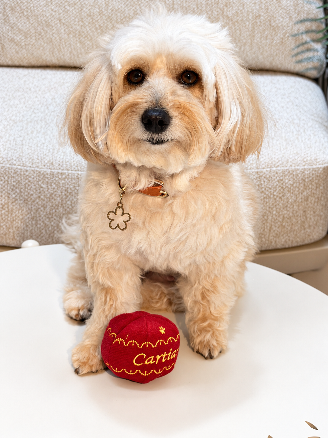 Cartiarf Ball