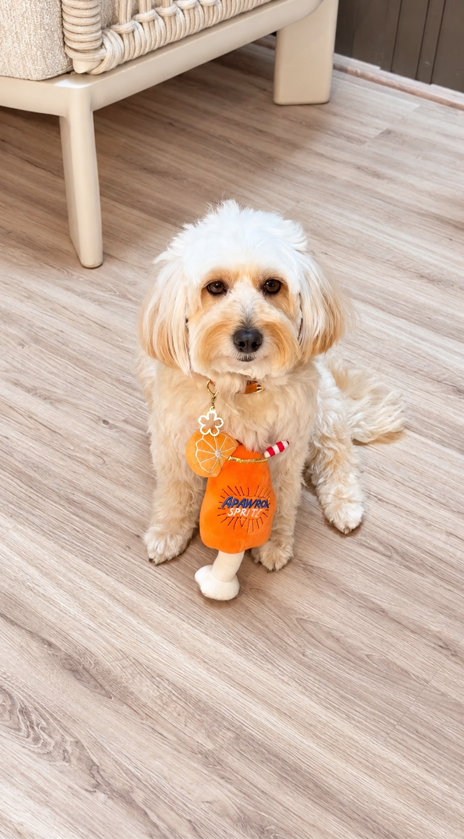 Apawrol Spritz Plush Toy