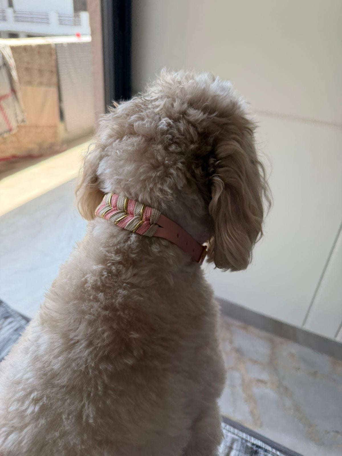 Bubblegum Knit Collar
