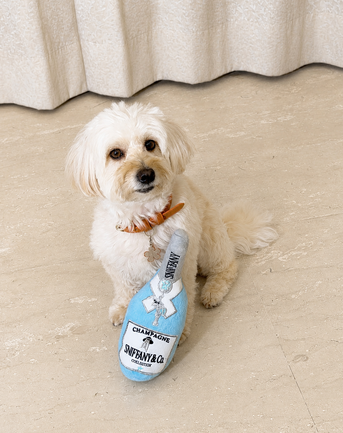 Sniffany & Co. Champagne