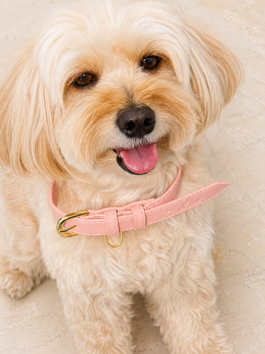 Baby Pink Vegan Leather Collar