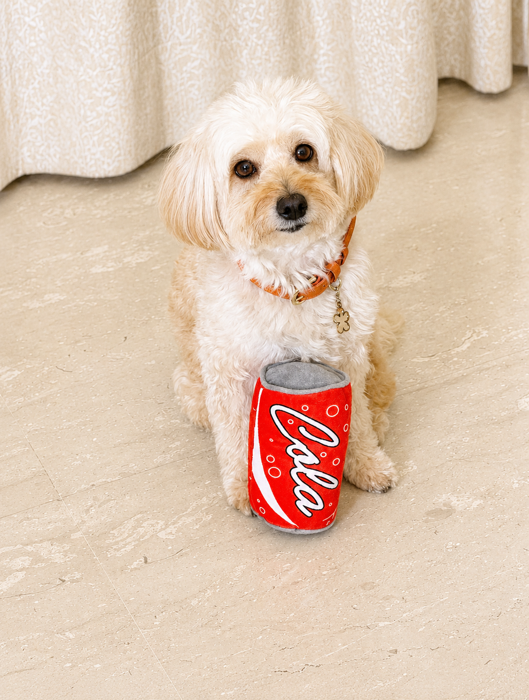 Fetch-a-Cola