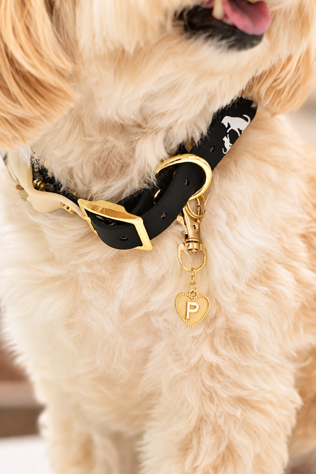 The Love Letter Charm