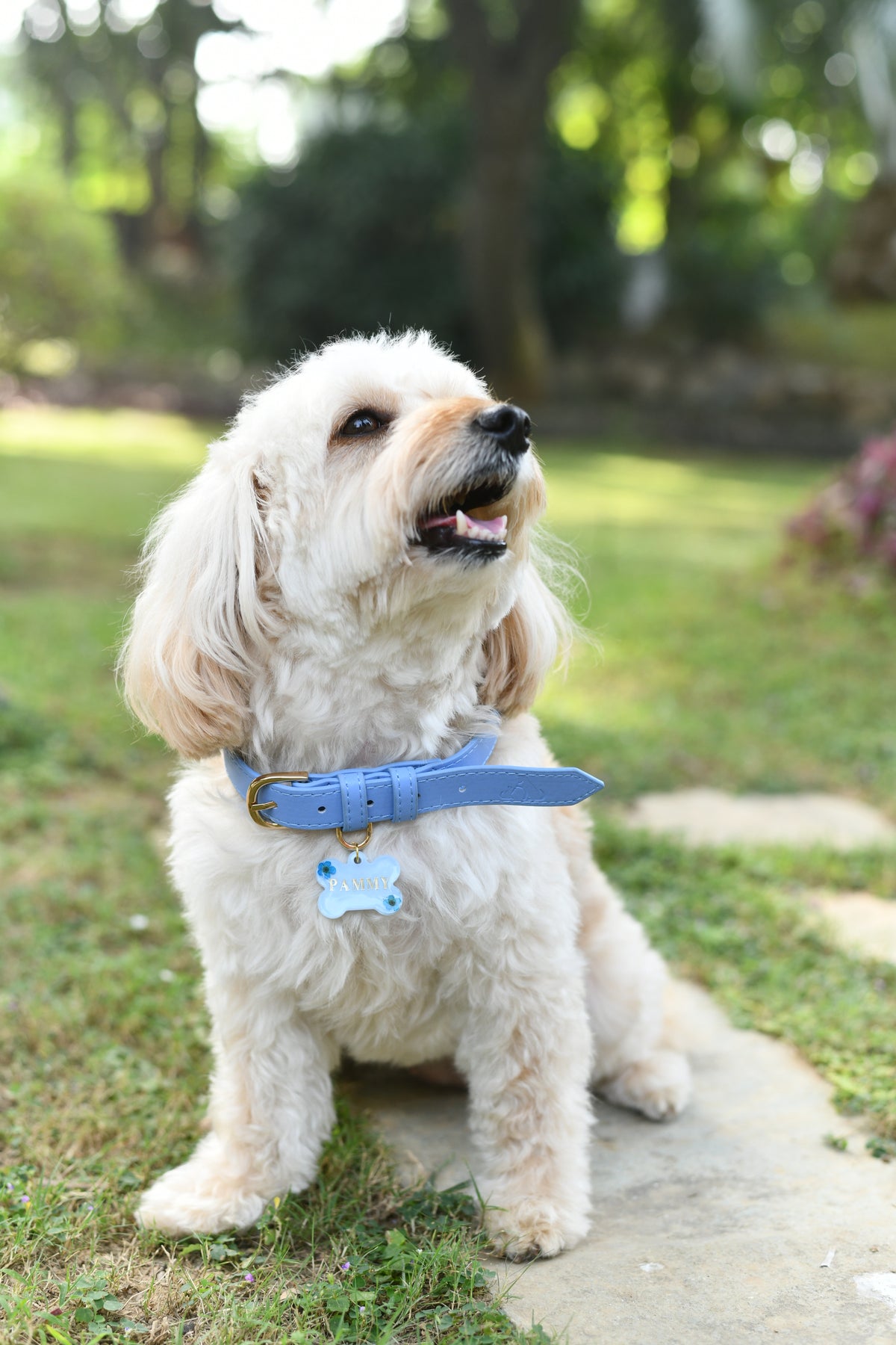 Powder Blue Vegan Leather Collar