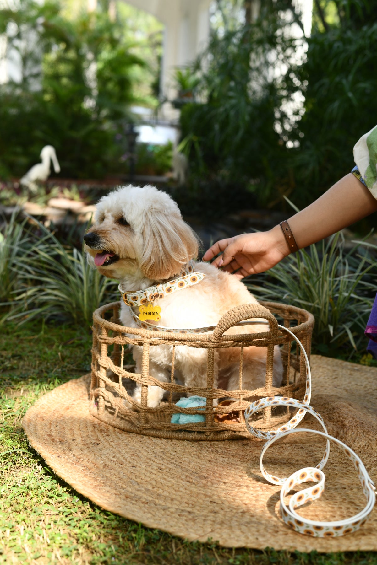 Sunflower Bloom Vegan Leather Leash