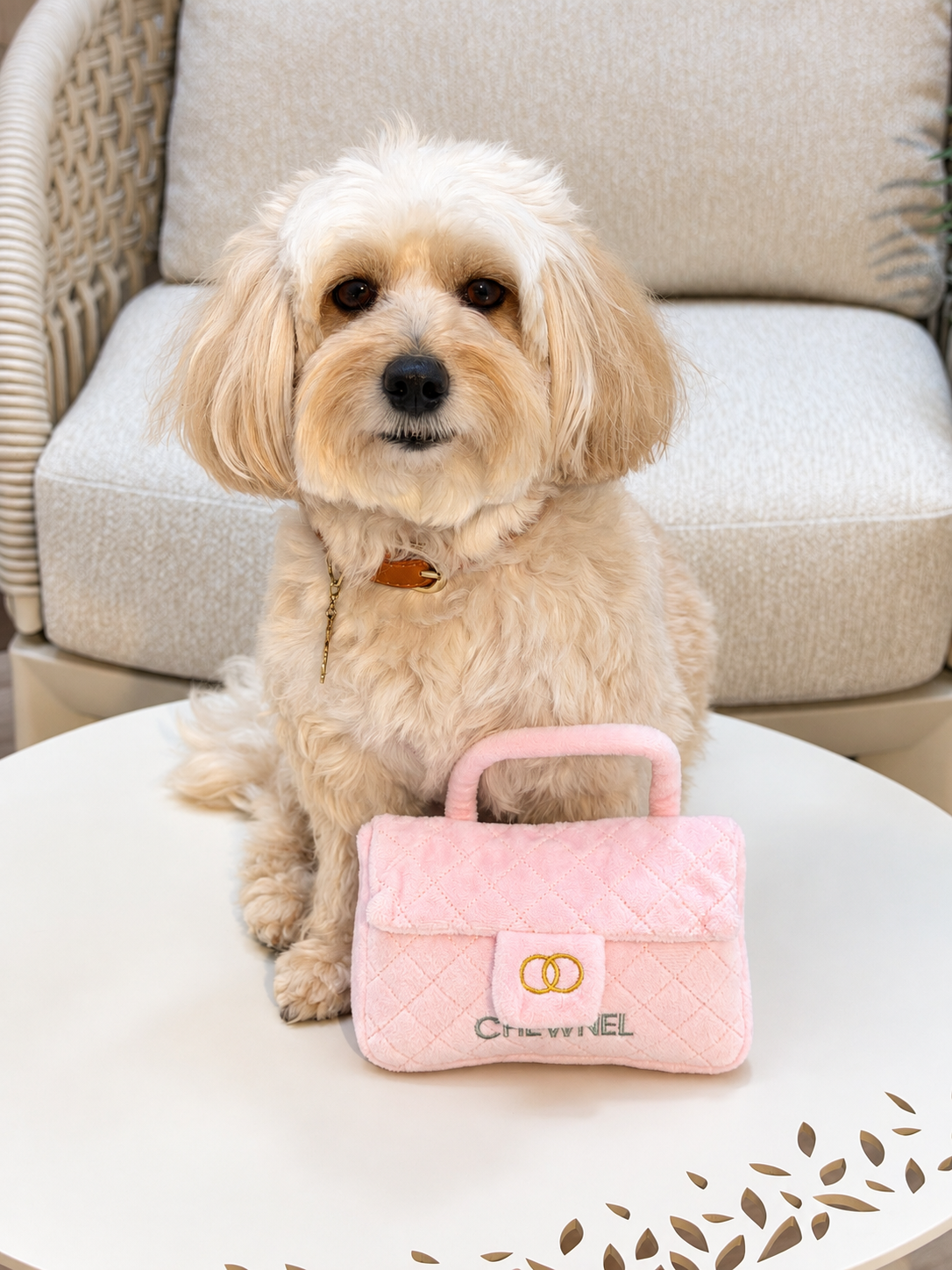 Chewnel Mini Bag