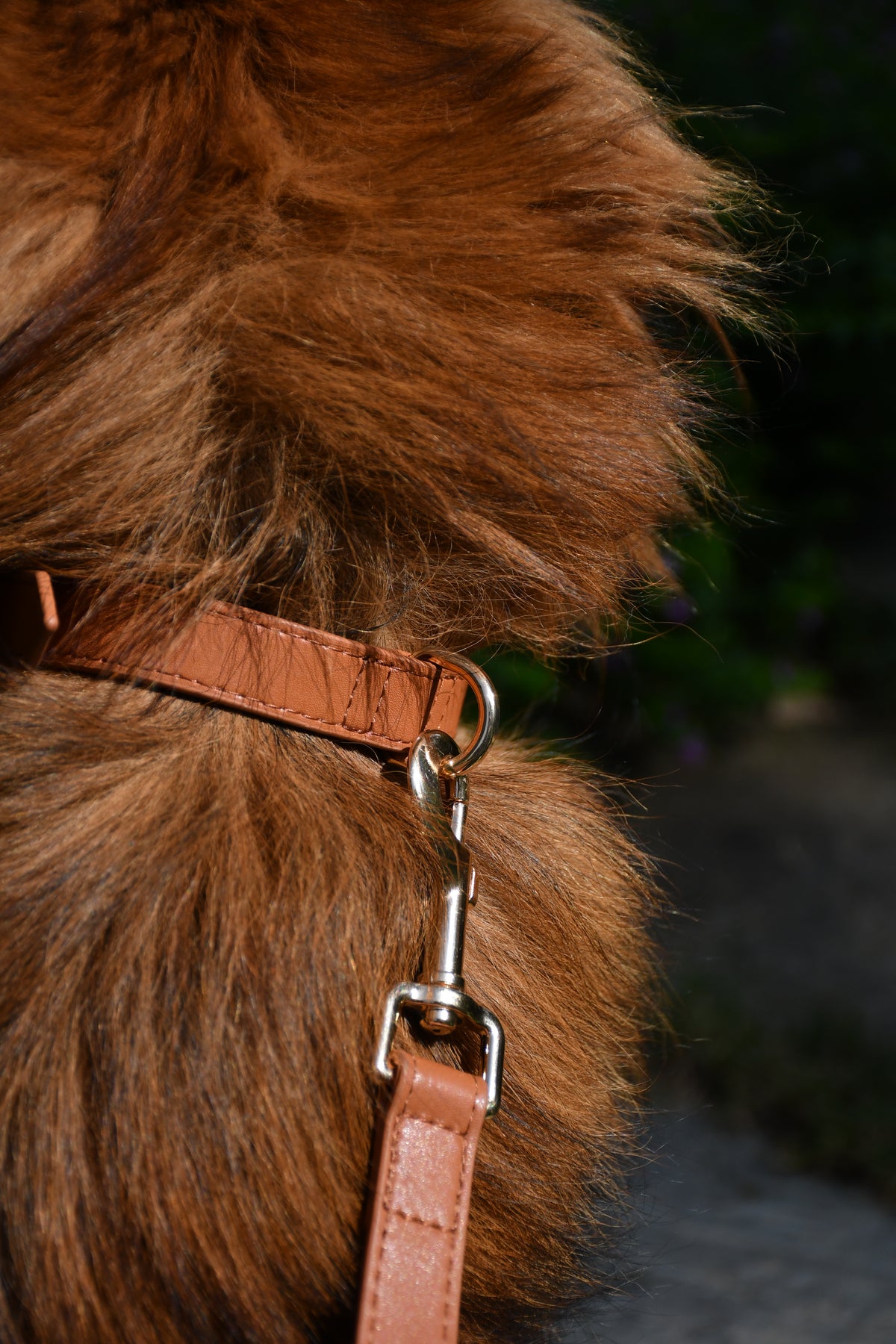 Caramel Classic Vegan Leather Collar
