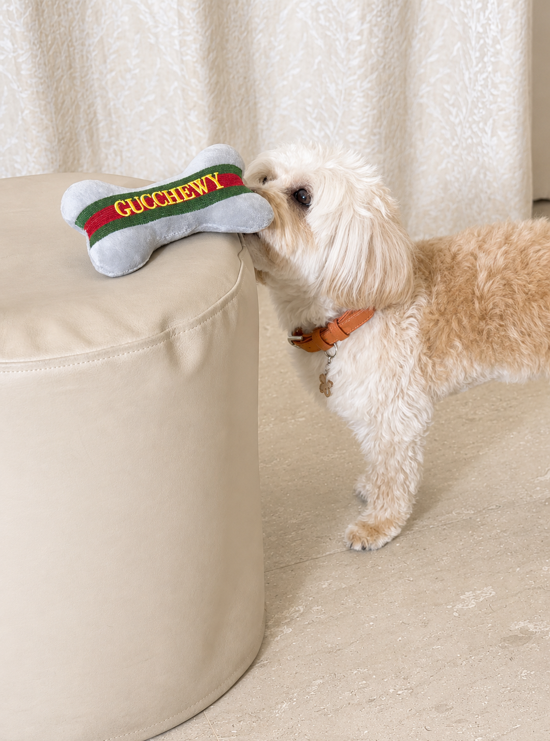 Gucchewy Bone