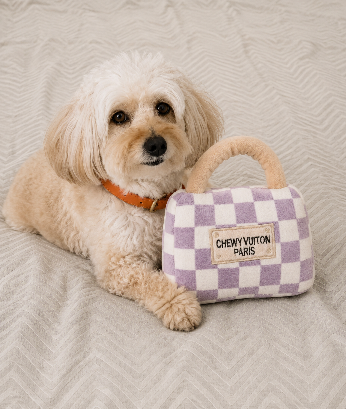 ChewyVuiton Bag
