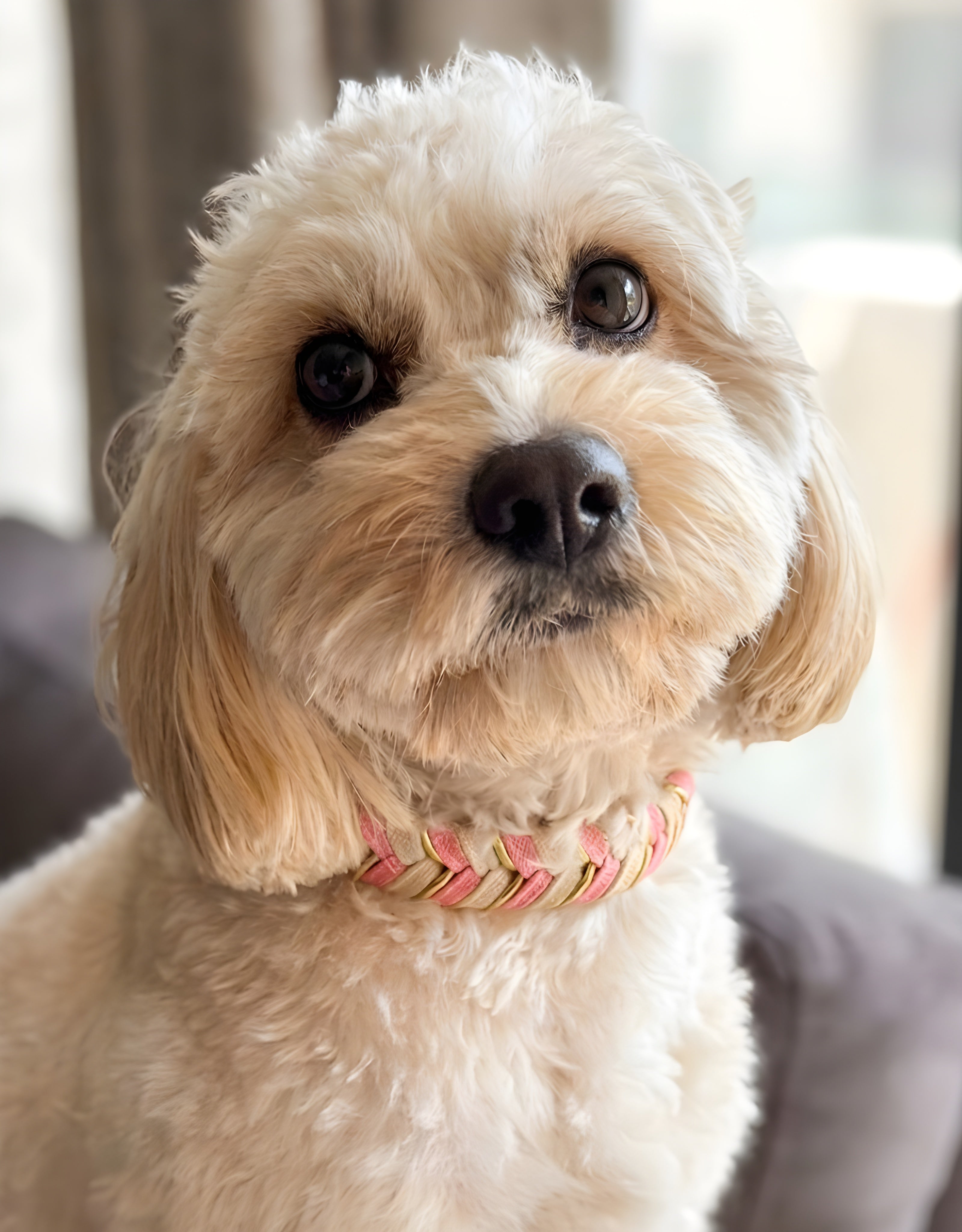 Bubblegum Knit Collar