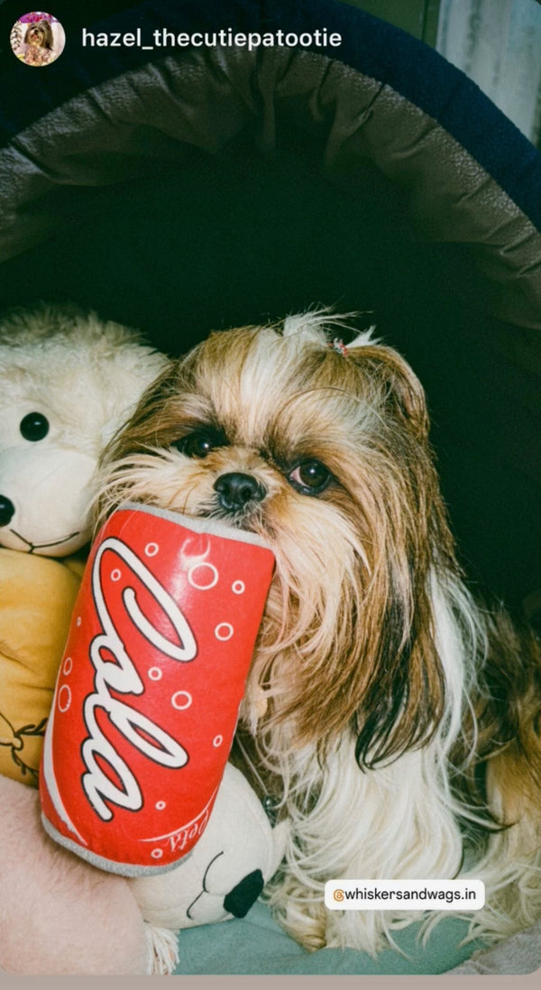 Happy Paws