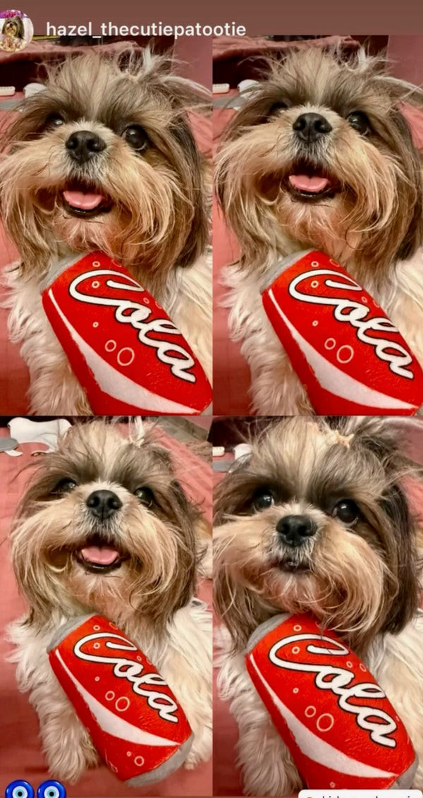 Happy Paws