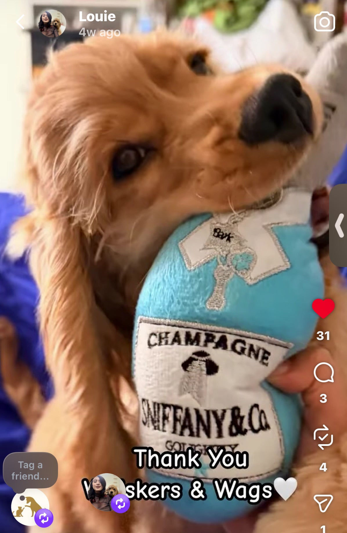 Sniffany & Co. Champagne