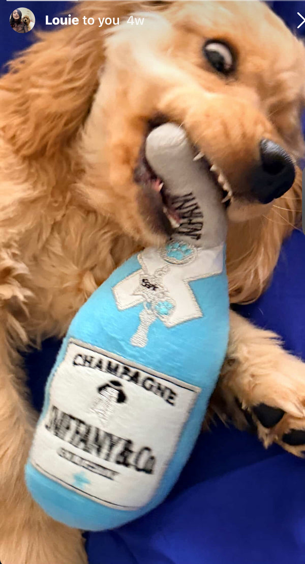 Happy Paws
