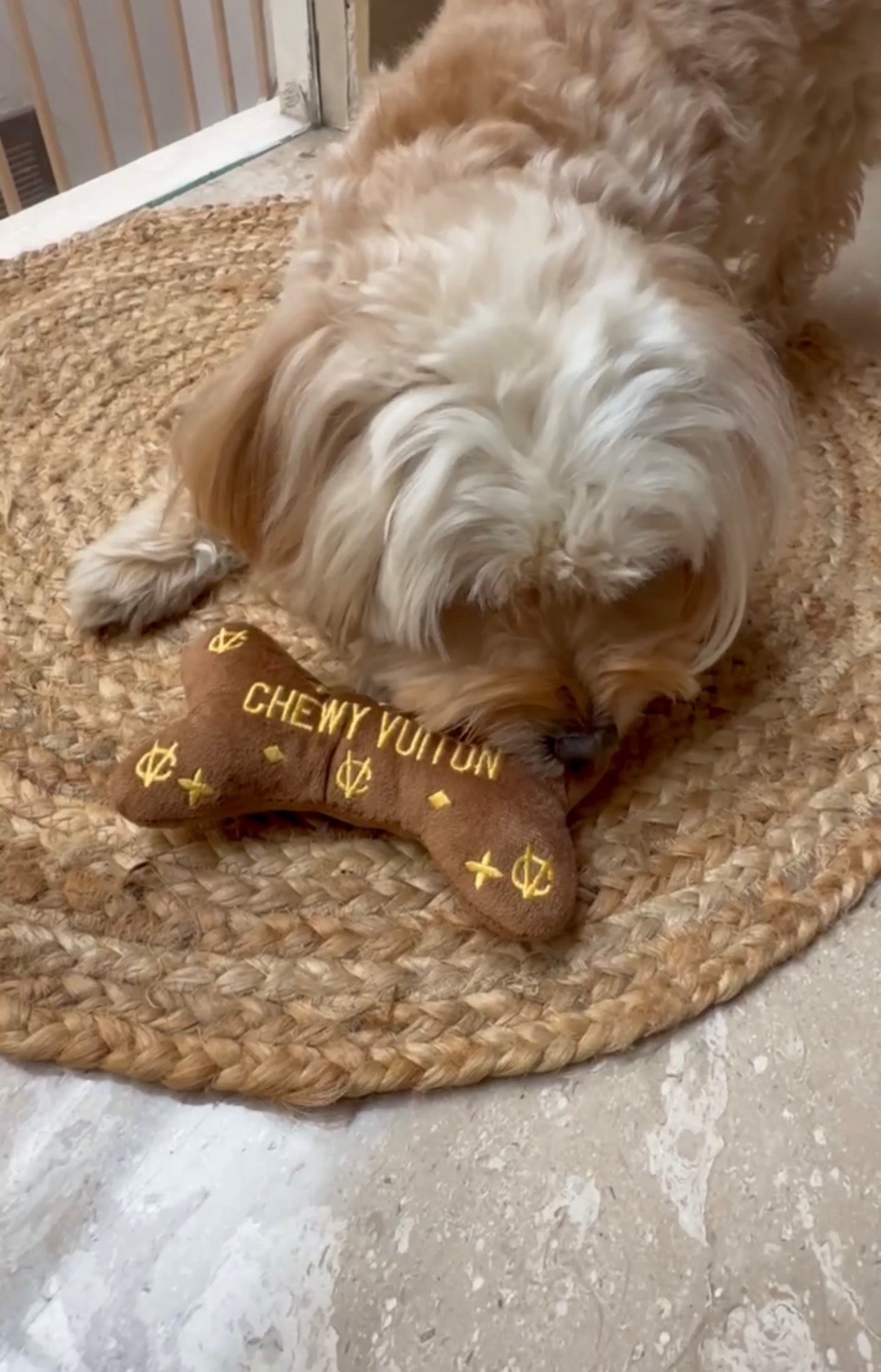 Chewy Vuitton Bone