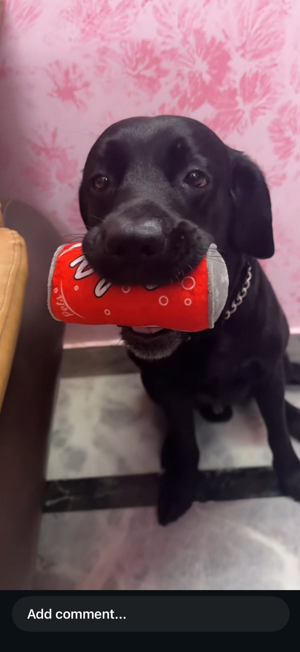 Happy Paws