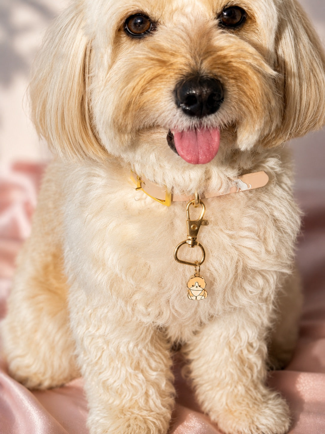 Puppy Love