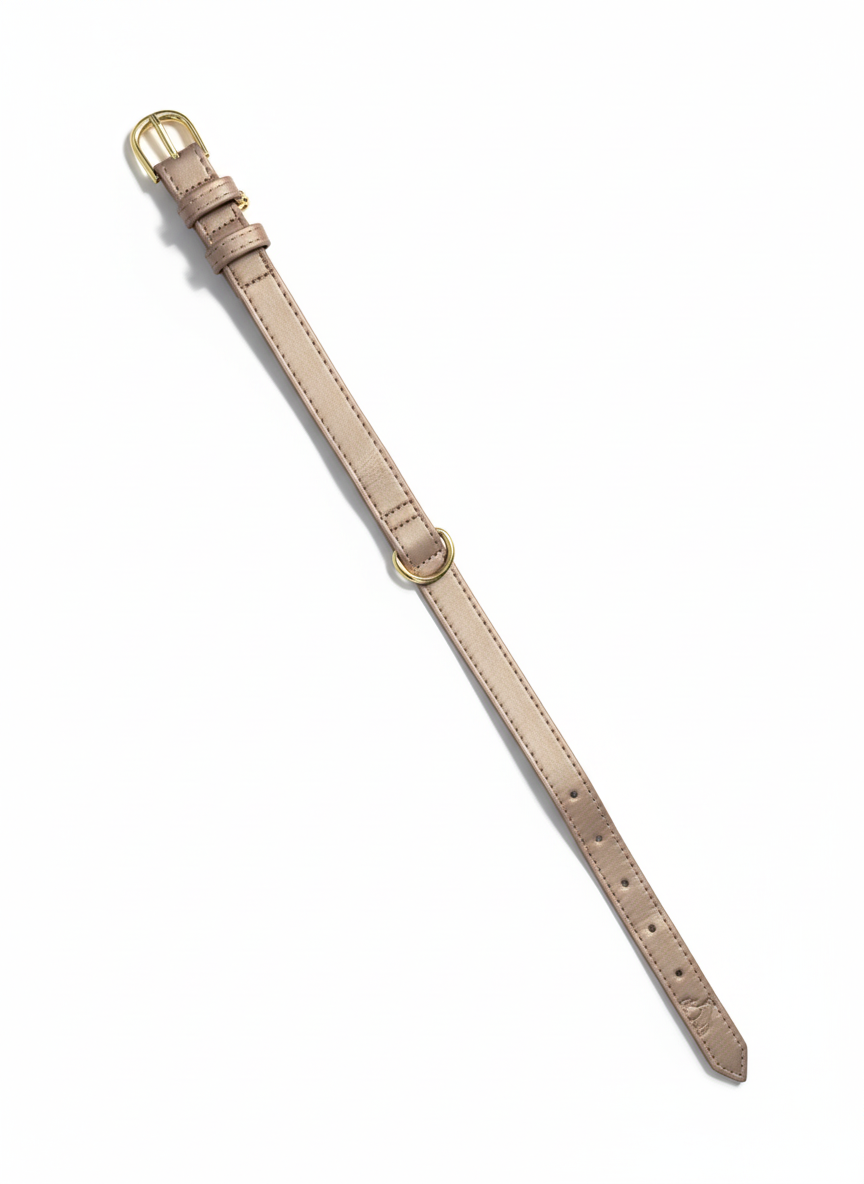 Stardust Vegan Leather Collar