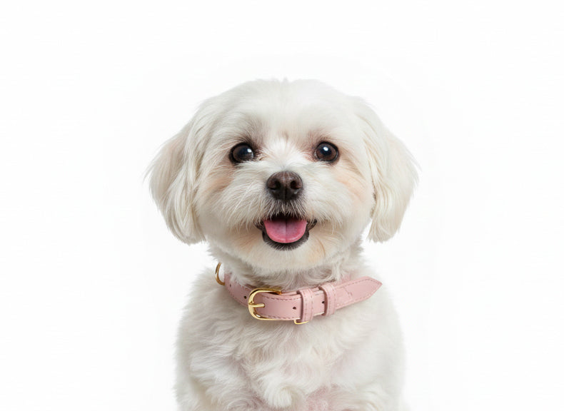 Baby Pink Vegan Leather Collar