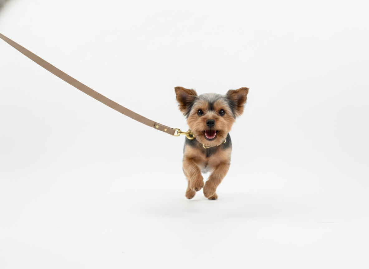 Stardust Vegan Leather Leash