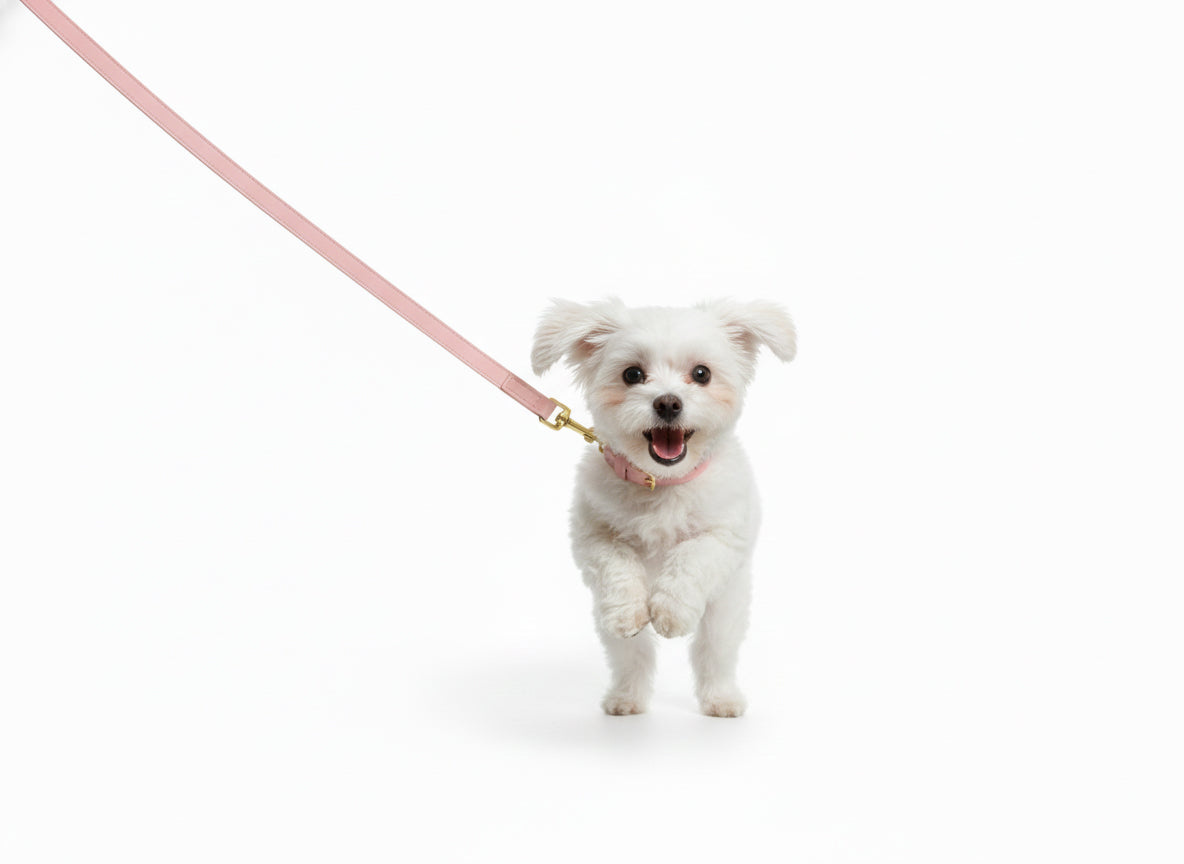 Baby Pink Vegan Leather Leash