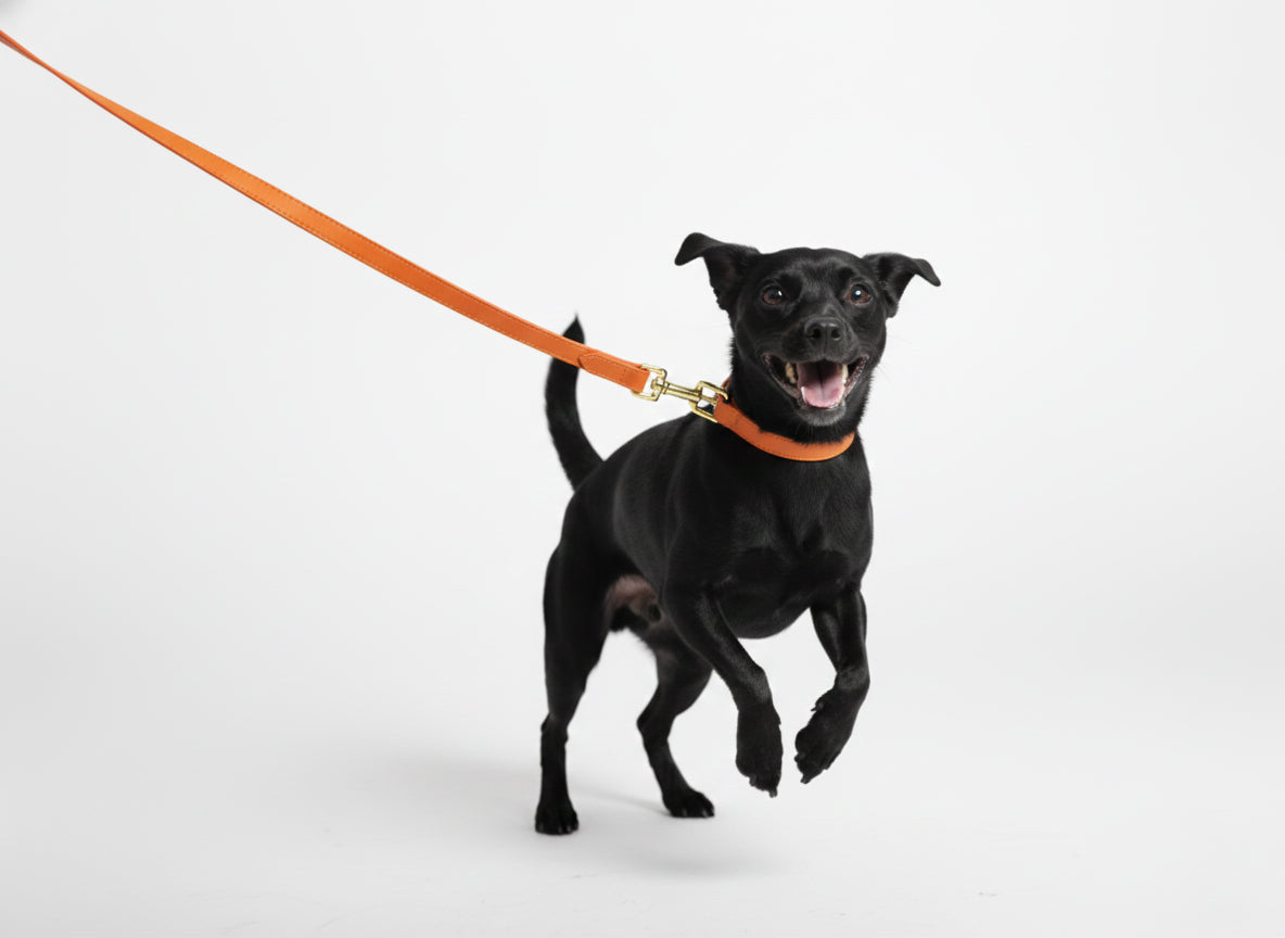 Tangerine Vegan Leather Leash