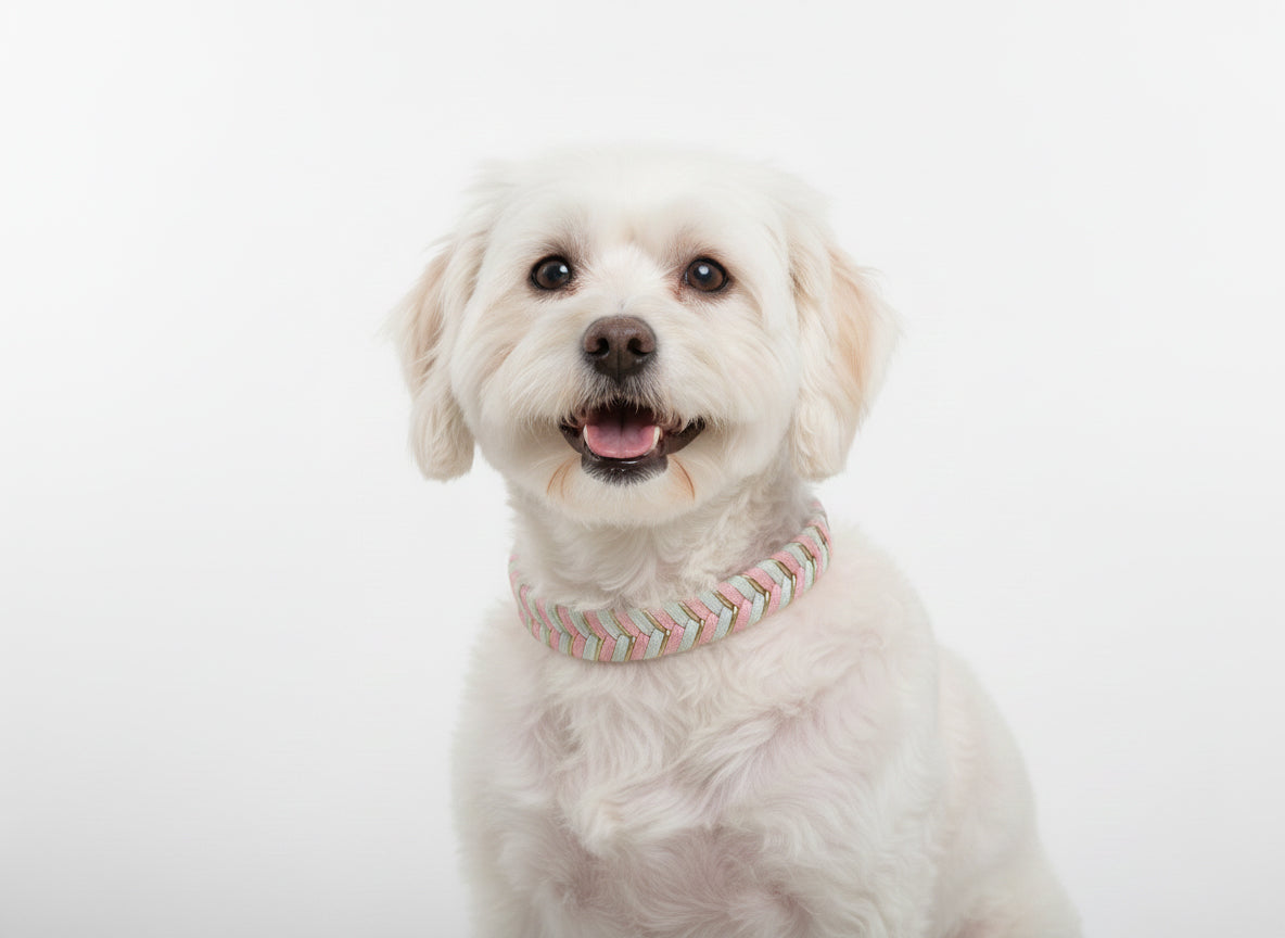 Bubblegum Knit Collar