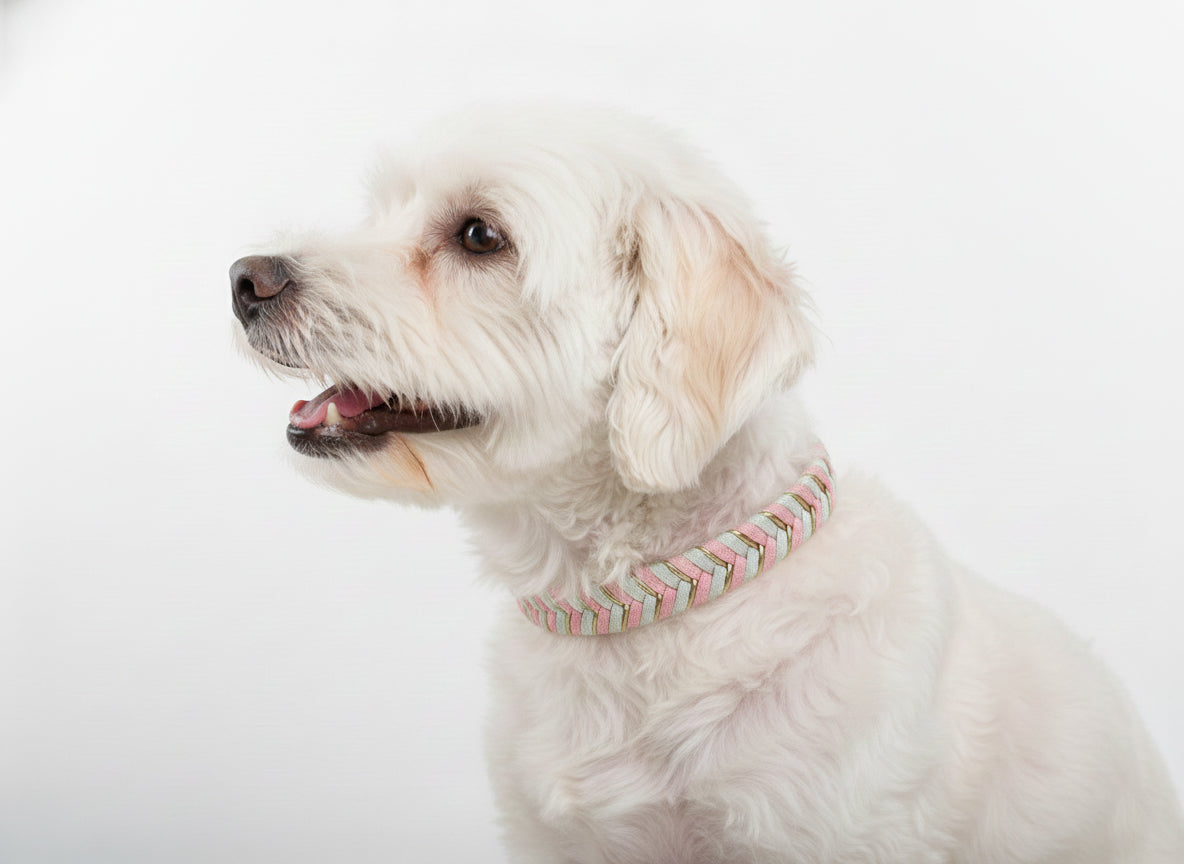 Bubblegum Knit Collar