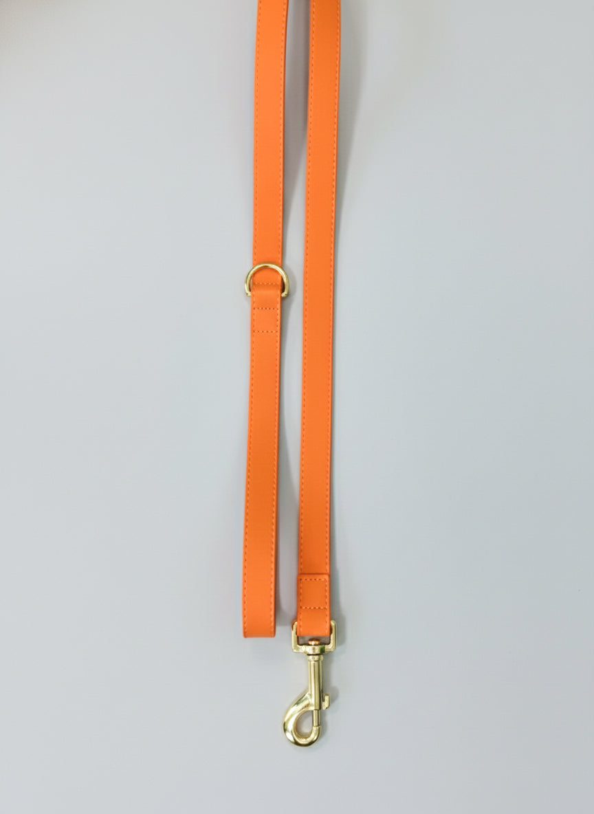 Tangerine Vegan Leather Leash