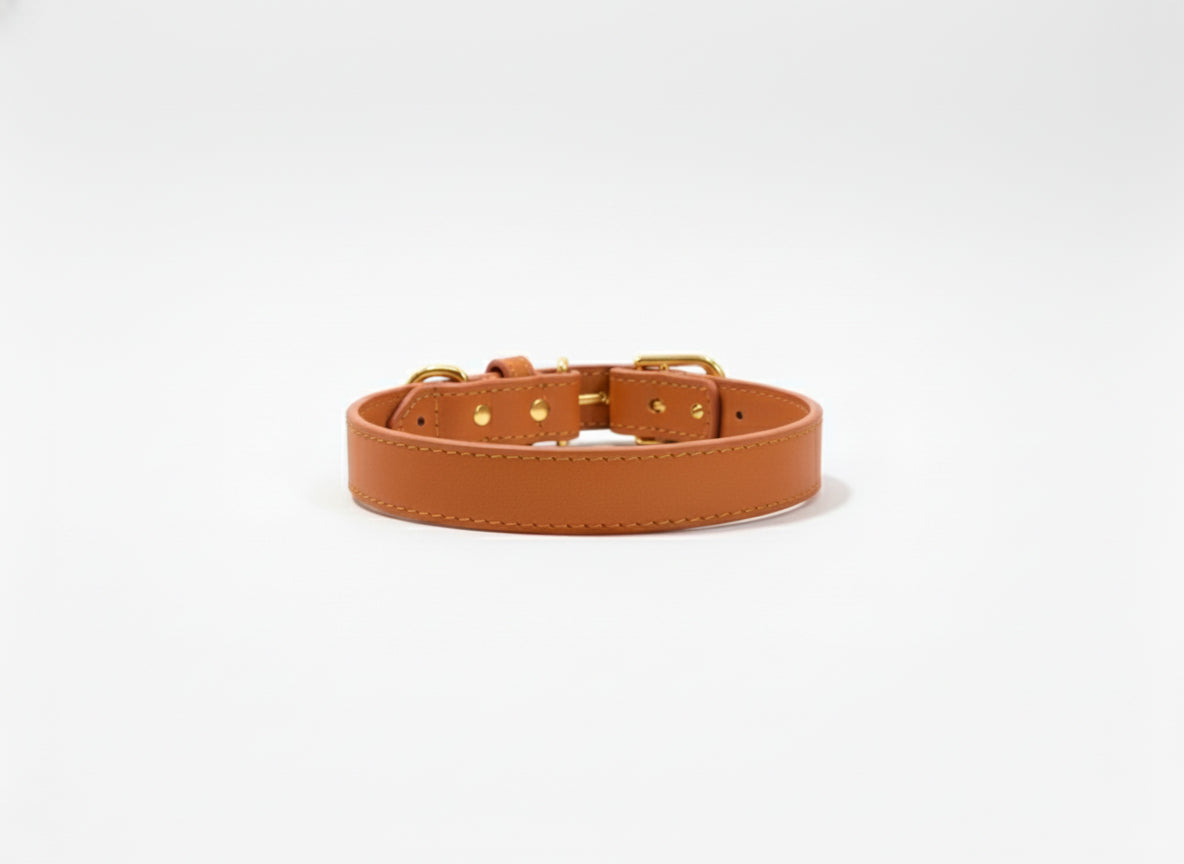 Tangerine Vegan Leather Collar