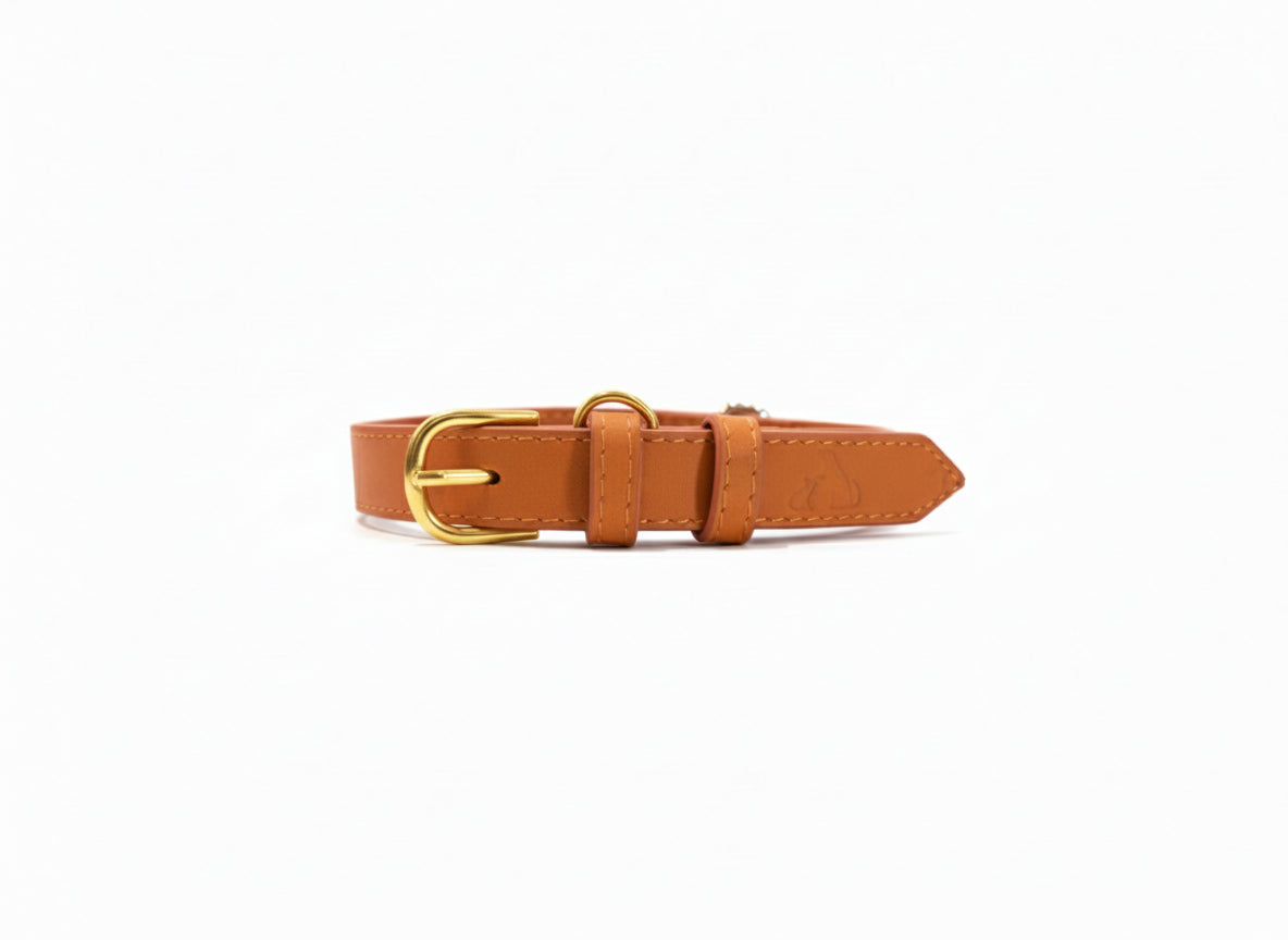 Tangerine Vegan Leather Collar