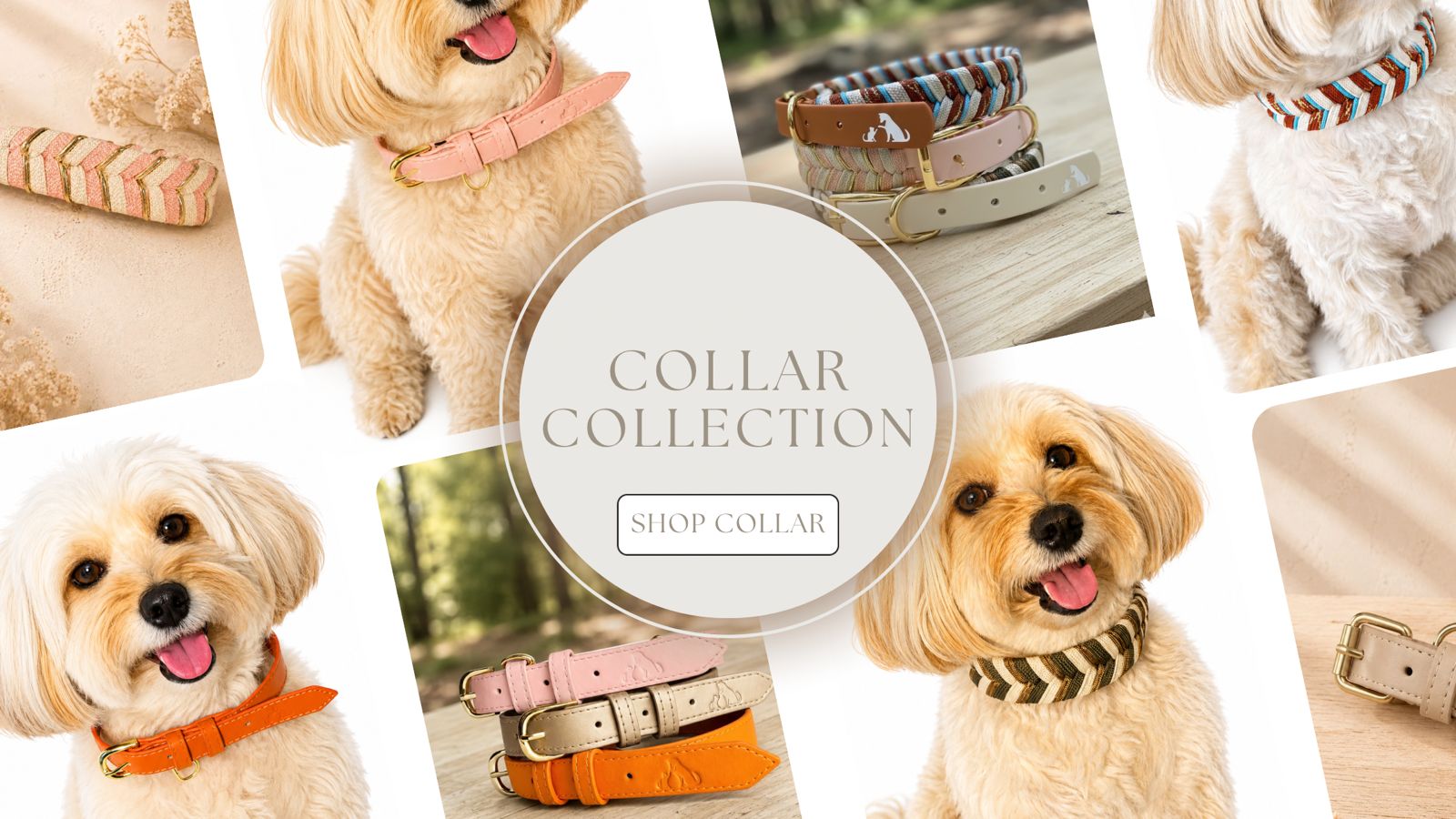 Whiskers & Wags | Premium Handcrafted Dog Accessories India