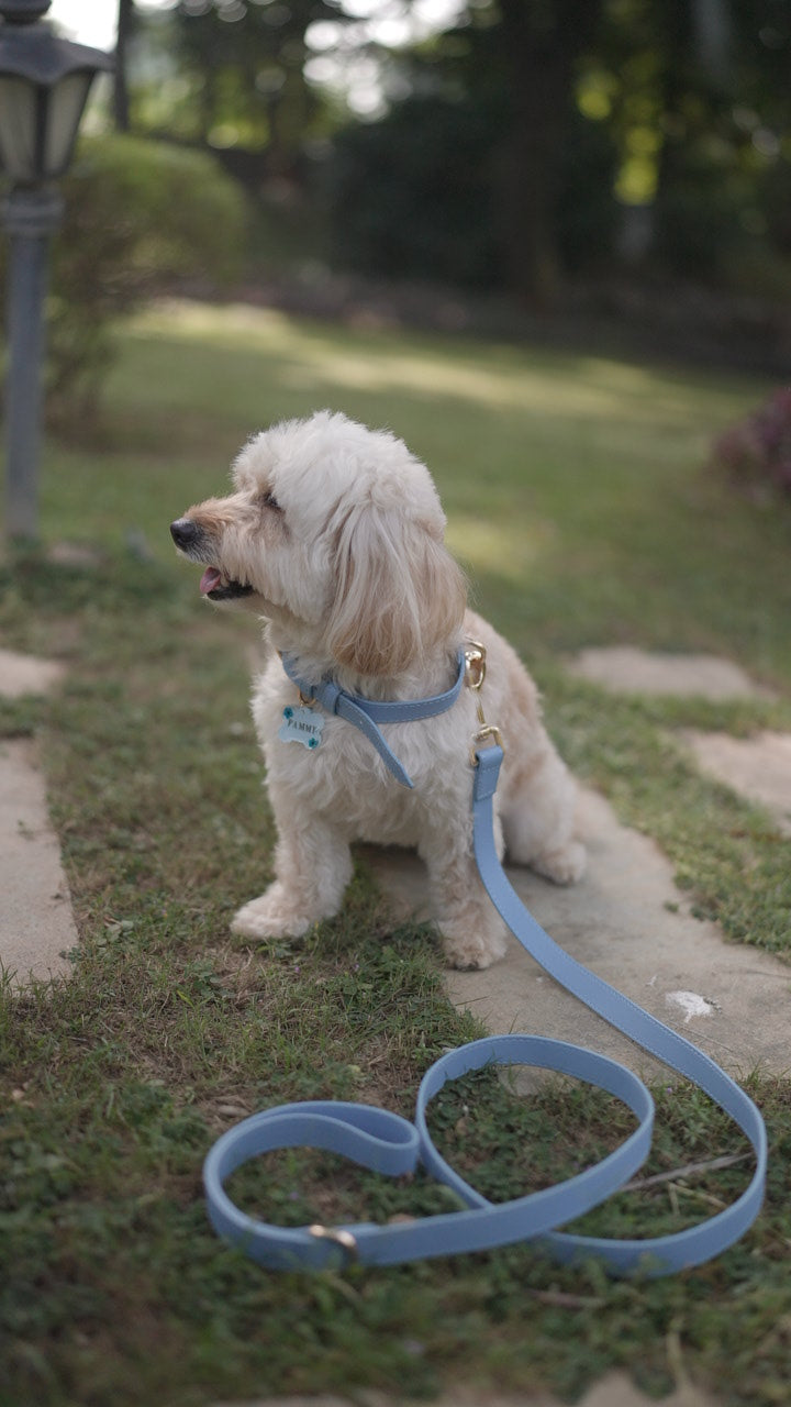 Powder Blue Vegan Leather Leash
